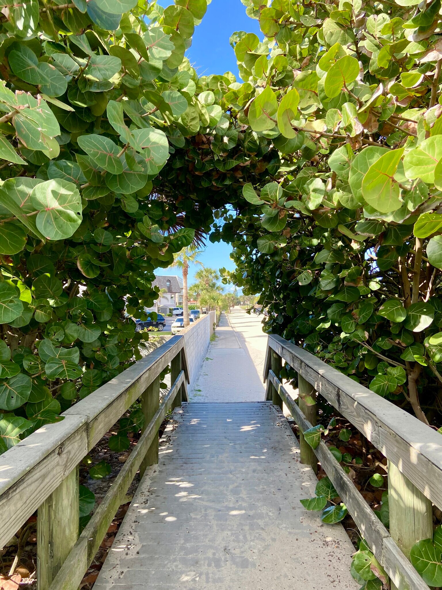 Building Photo - 299 E Central Blvd