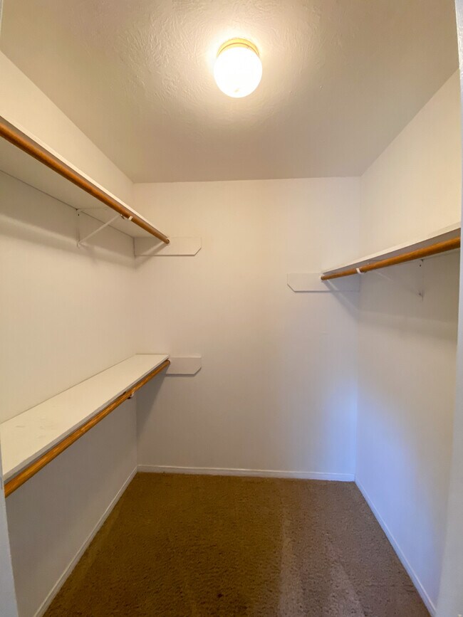 Building Photo - 2408 Brittain Ct