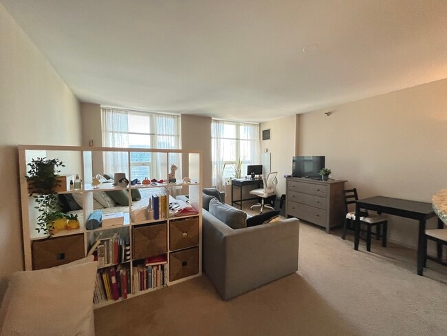 Building Photo - 345 N La Salle Dr