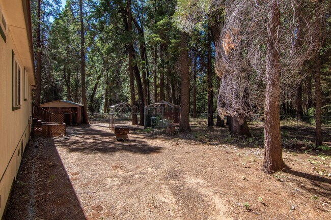 Building Photo - Furnished Shingletown Home with Horse Corral, Huge Fenced Back Yard and Chicken Coop!