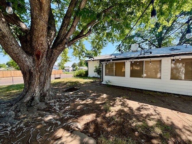 Building Photo - South Denver Brick Ranch