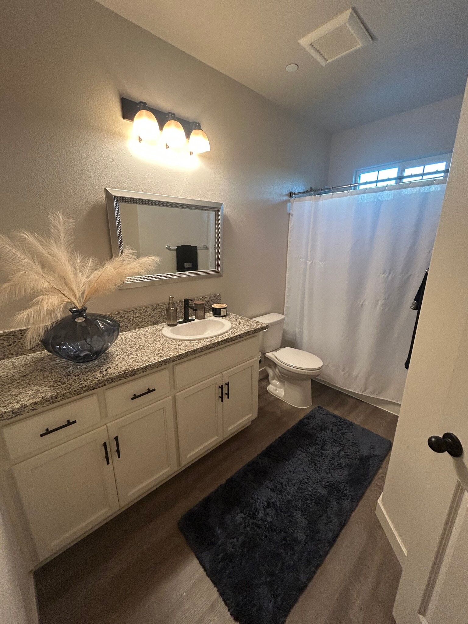 Bathroom - 6757 Jujube Ln