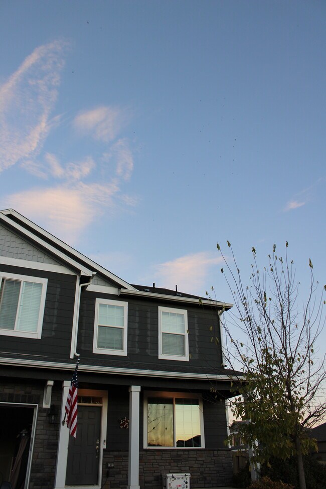 Building Photo - 415 3rd St