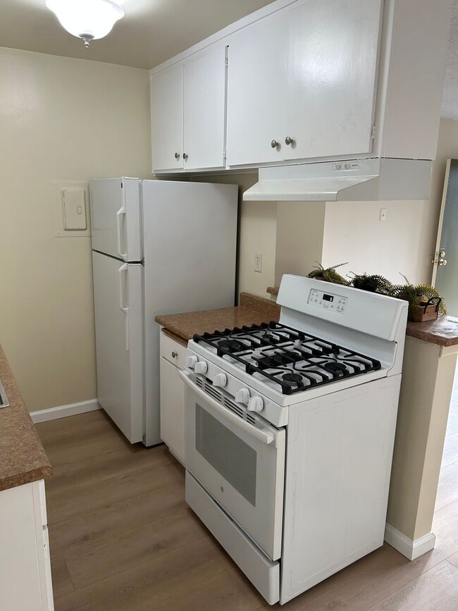 Building Photo - Fantastic One Bedroom