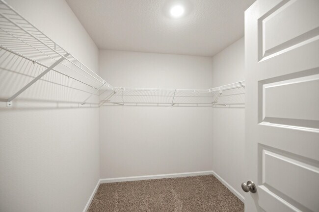 Building Photo - 924 Sandbar Loop