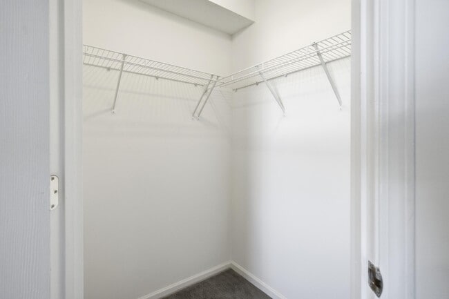 Building Photo - 2413 Northampton Dr