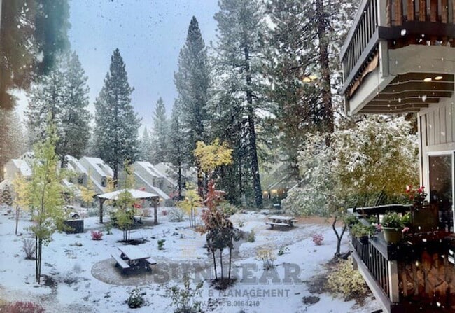 Building Photo - Adorable 2 Bedroom - Central Incline! 1 Do...