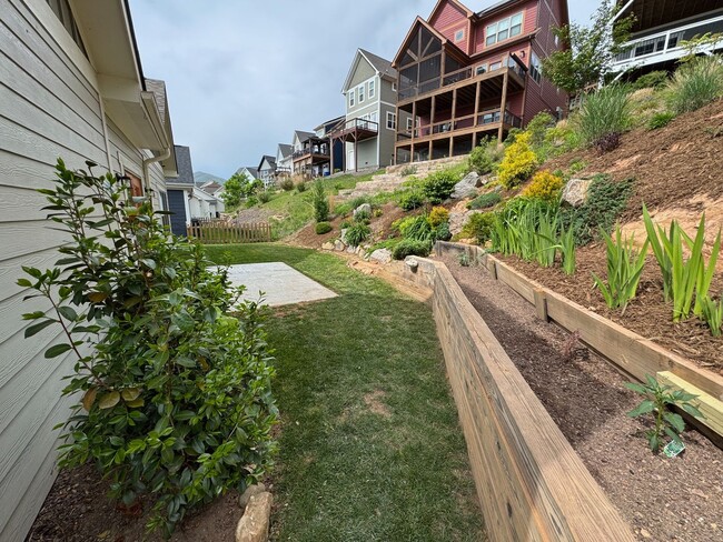 Building Photo - Black Mountain - Gardeners Delight!!
