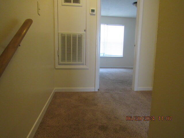 Building Photo - 705 Terrance Ct