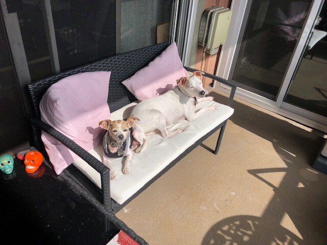 Building Photo - 2507 E 15th St