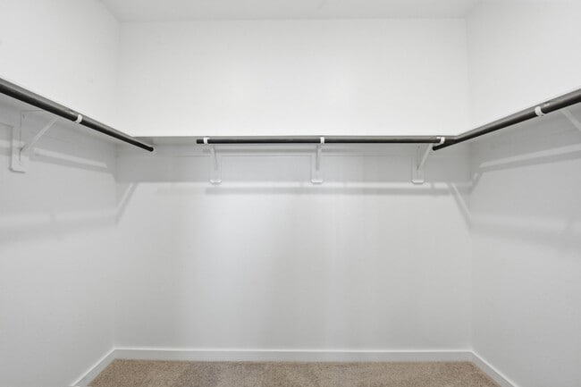 Building Photo - 10010 Rustic Charm St