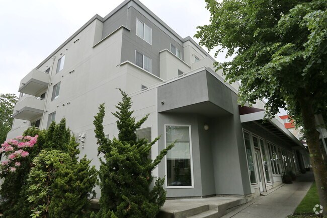 Primary Photo - Leilani 2