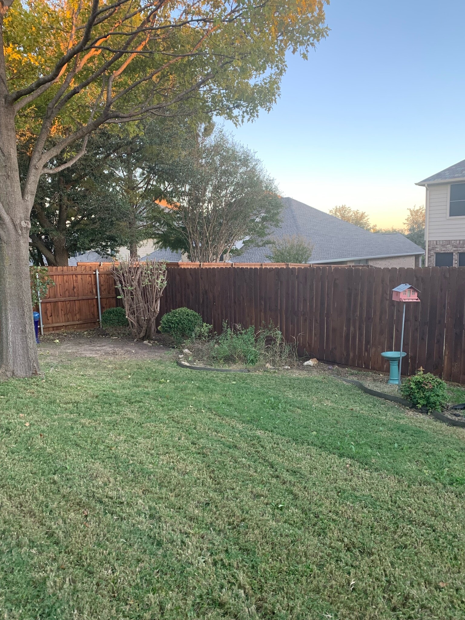 Backyard #2 - 4008 Drexmore Road