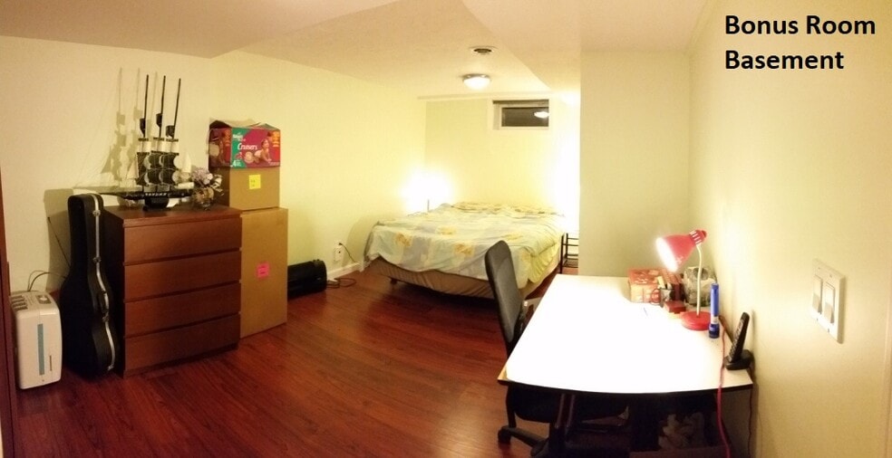 Bonus Room (lower level) - 23 Oneil Dr