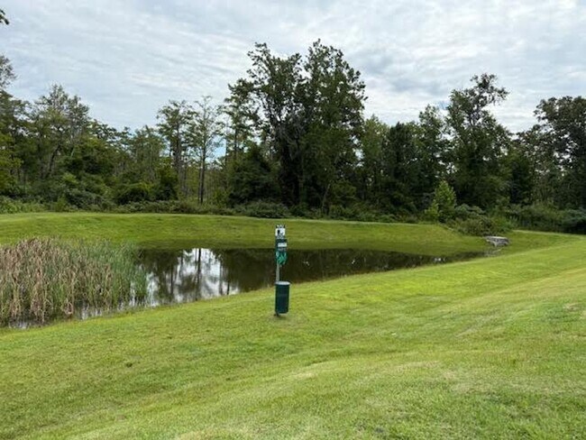Building Photo - Special Offer! 18 month lease $1,375.00!!