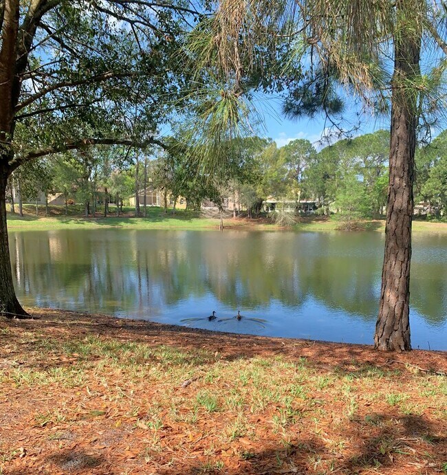 Building Photo - 3/2 Pool Home in Manderley Run