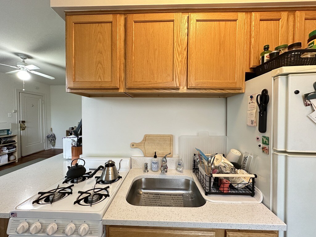 Building Photo - 4531 N Ashland Ave