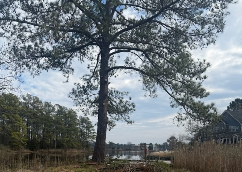 Building Photo - 1732 Rockwood Dr