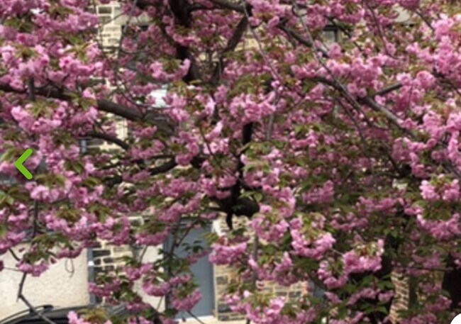 Building Photo - 1723 Bolton St