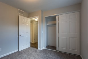 Interior Photo - Shadow Tree