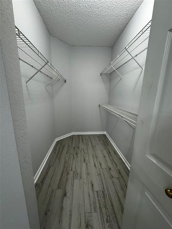 Building Photo - 2513 White Magnolia Way