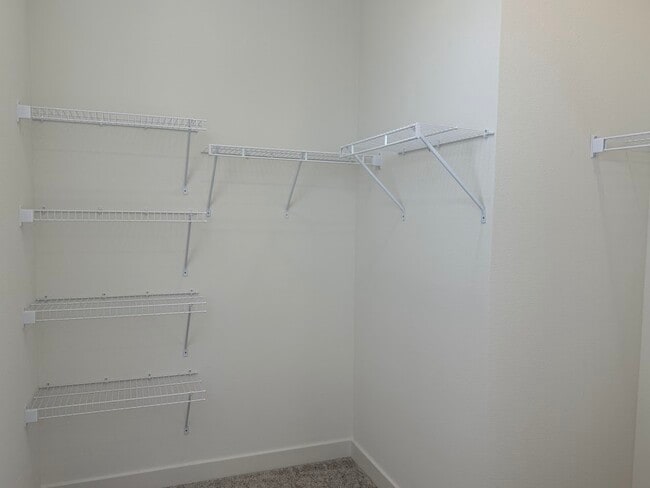 Building Photo - 11737 Stone Curlew Ave