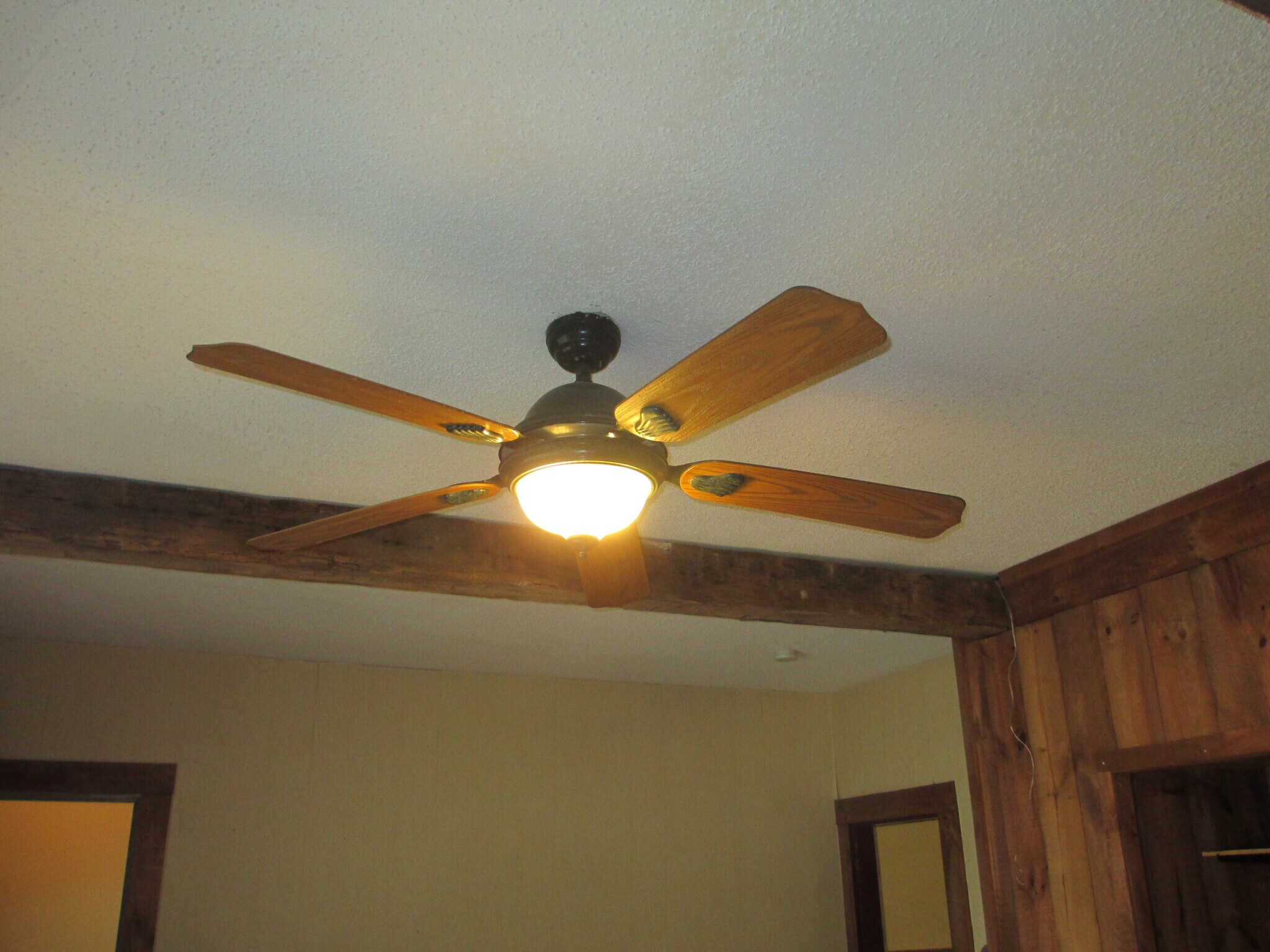 Living Room - Ceiling Fan - 235 Pleasant St