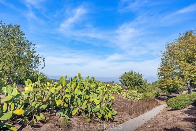 Building Photo - 2 Crystalglen