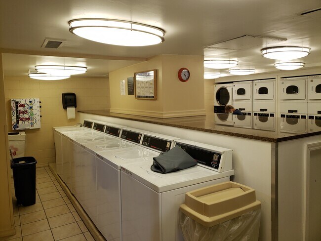 laundry room - 2605 S Indiana Ave