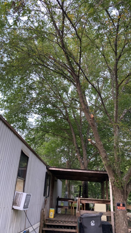 Building Photo - 205 Lick Creek Rd