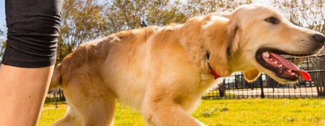 Building Photo - 19419 Canter Field Ct