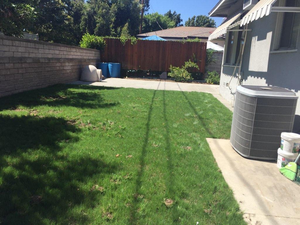 Backyard - 539 N Rosemary Ln