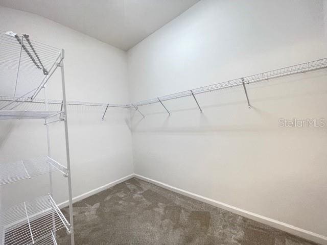 Building Photo - 1904 Groesser Pl