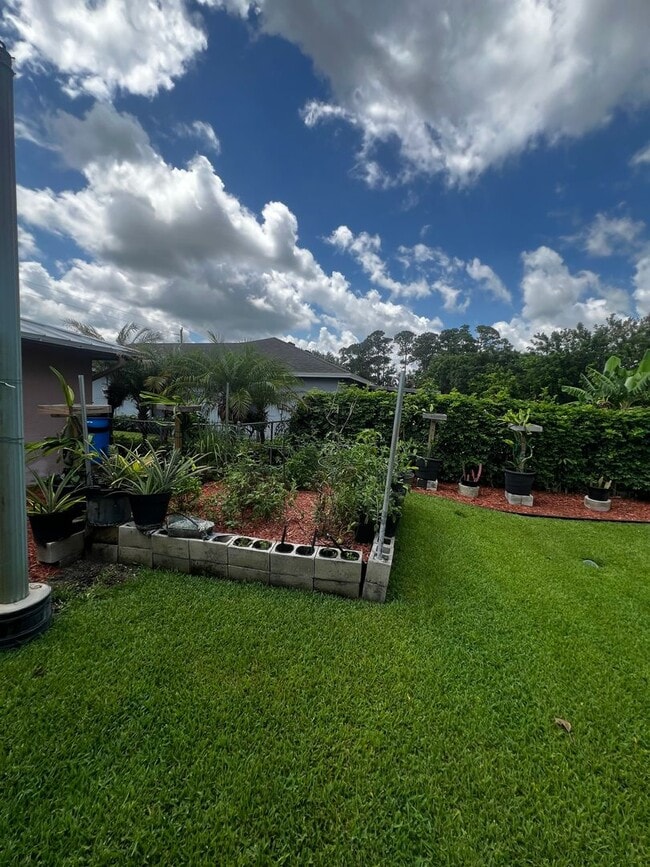 Building Photo - 3 BEDROOM 2 BATH CONVENIENTLY LOCATED WITH A TROPICAL OASIS IN THE BACK YARD!