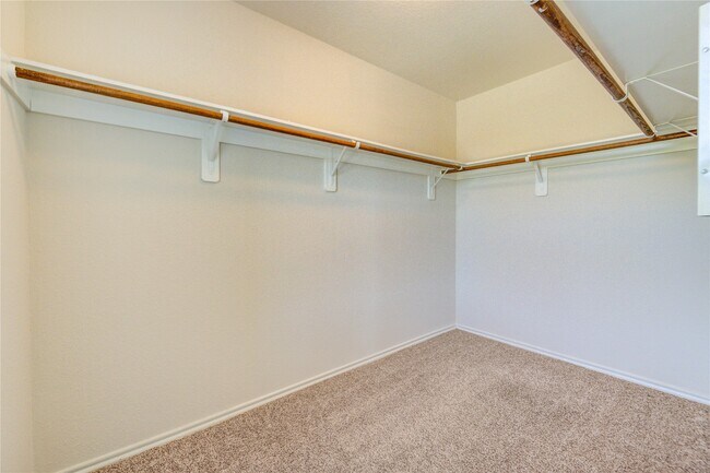 Building Photo - 3634 Goldleaf Trail Dr