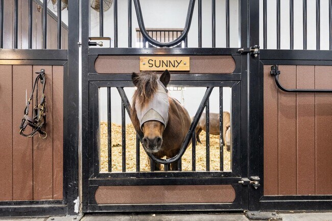 Building Photo - 3512 Grand Prix Farms Rd