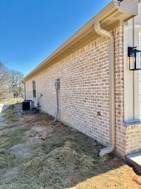 side yard - 225 S Pine St