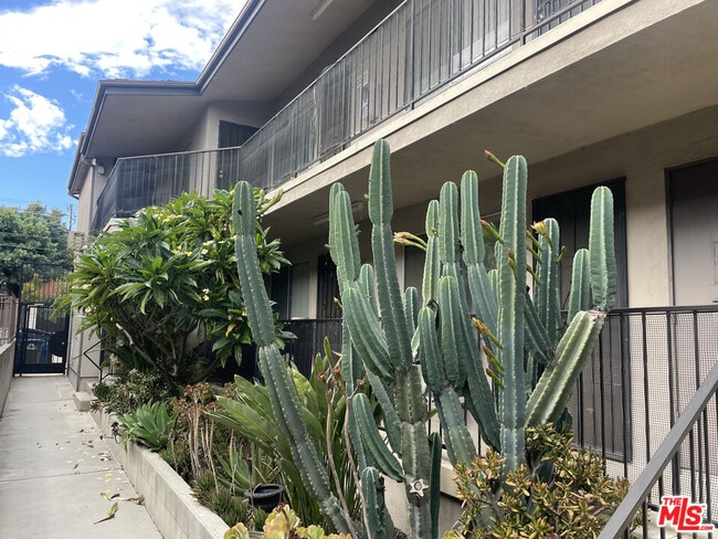 Primary Photo - 1247 N Virgil Ave