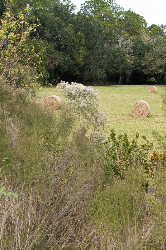 Building Photo - 2965 Crossfield Dr