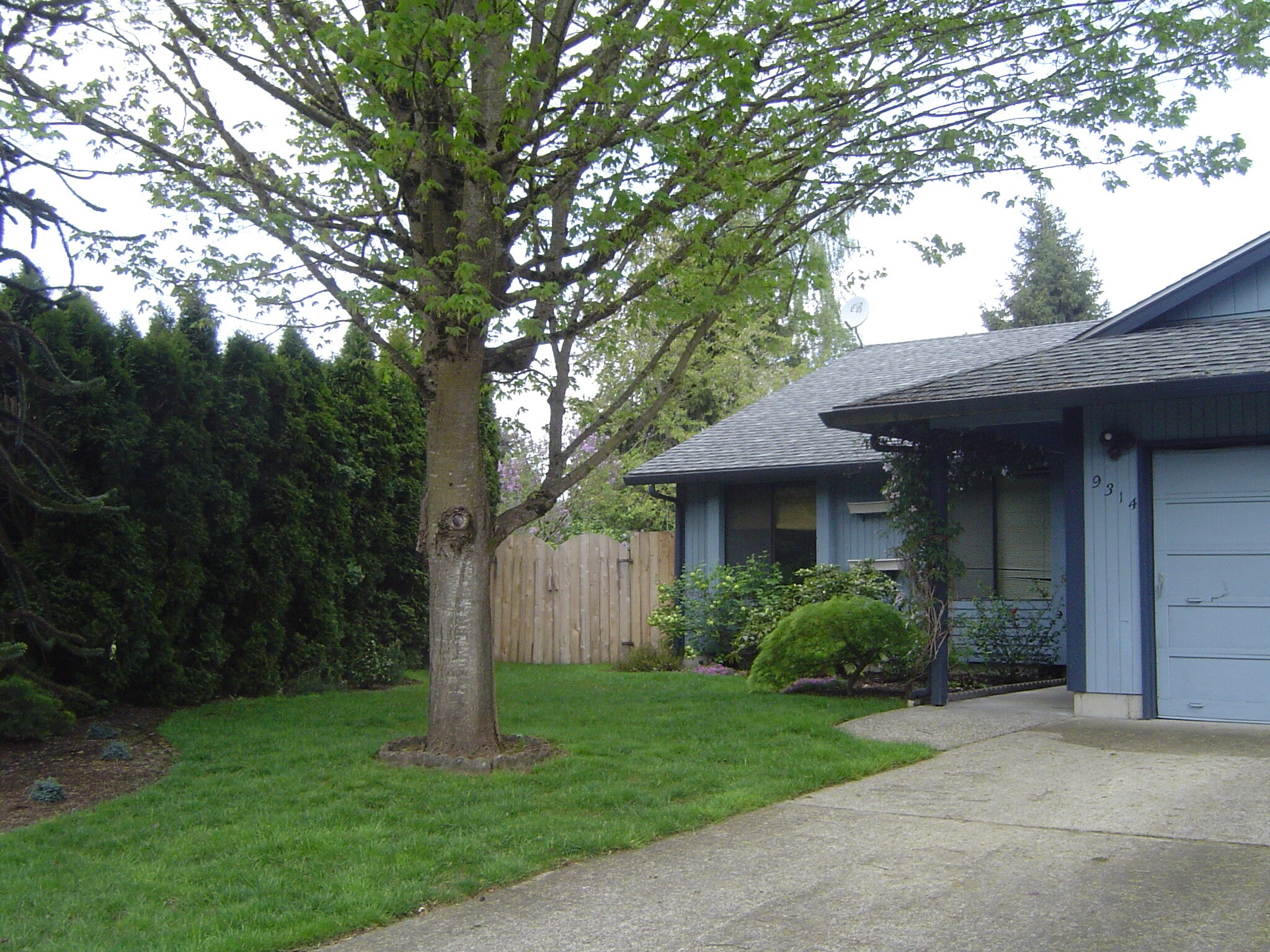 Front Yard and Doorway - 9314 NE 68th St