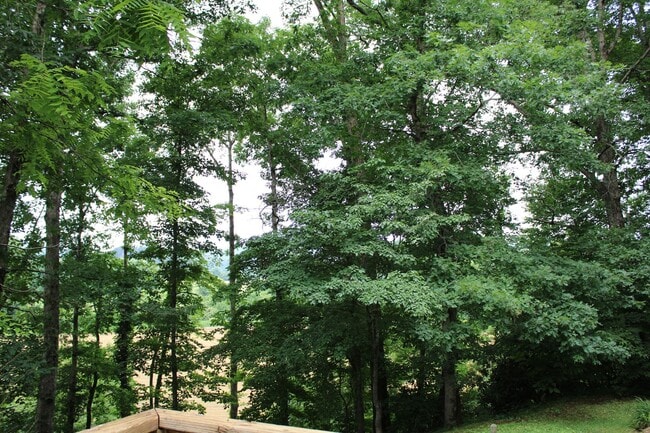 Building Photo - Updated Mobile Home