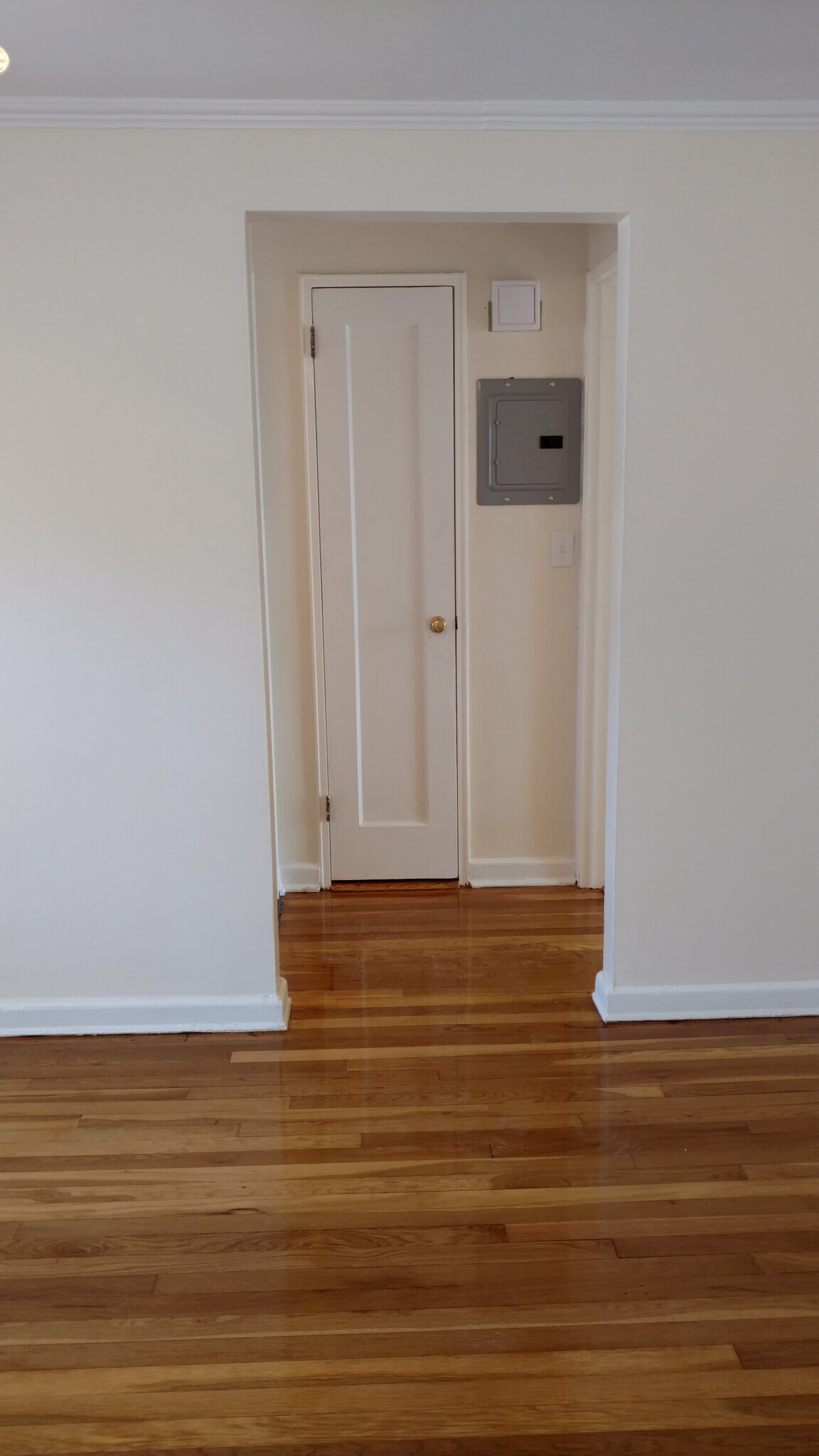 Hallway closet closed - 29 Carolyn Ter