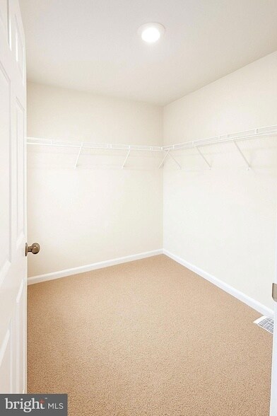 Building Photo - 229 Caterpillar Dr