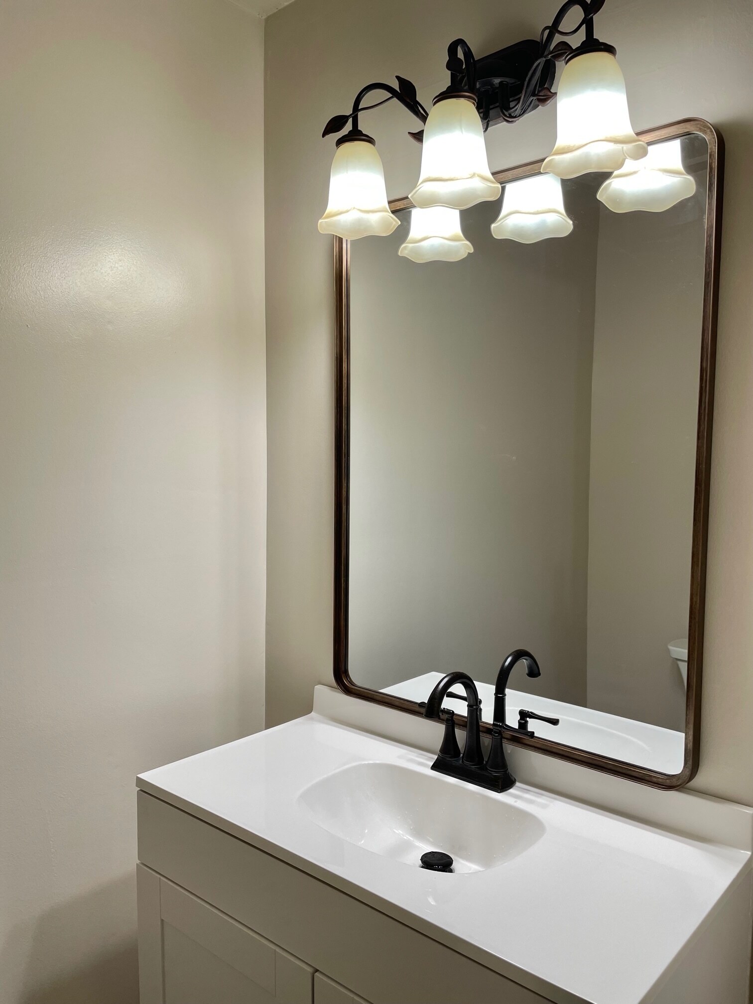 All new half bath - 830 Blue Goose Rd