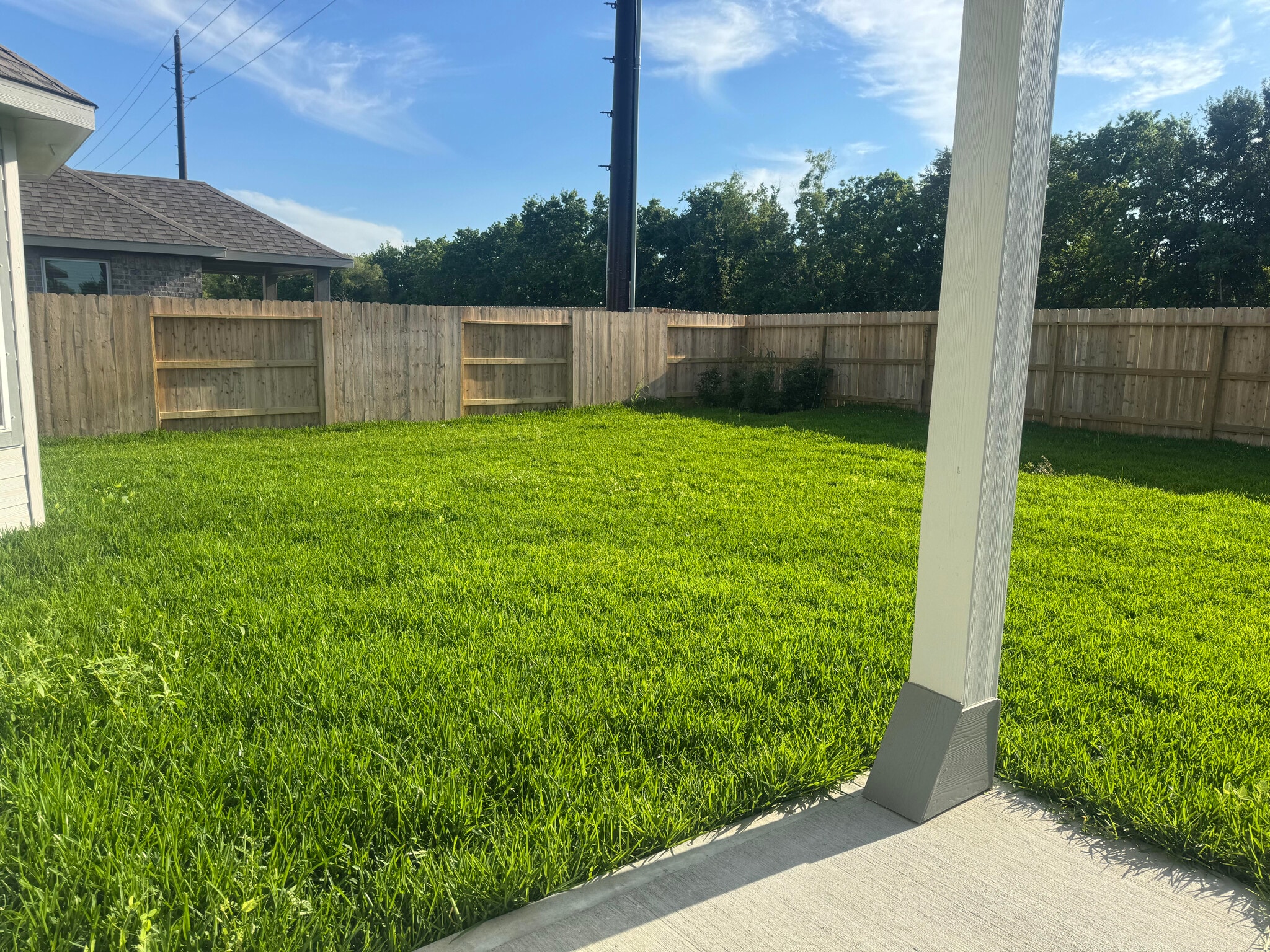 Backyard Lawn - 5018 Magnolia Springs Dr