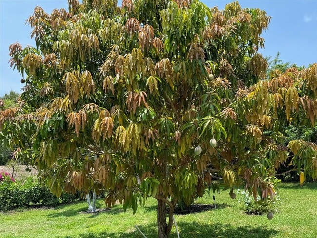 Building Photo - 1740 Ludlow Rd