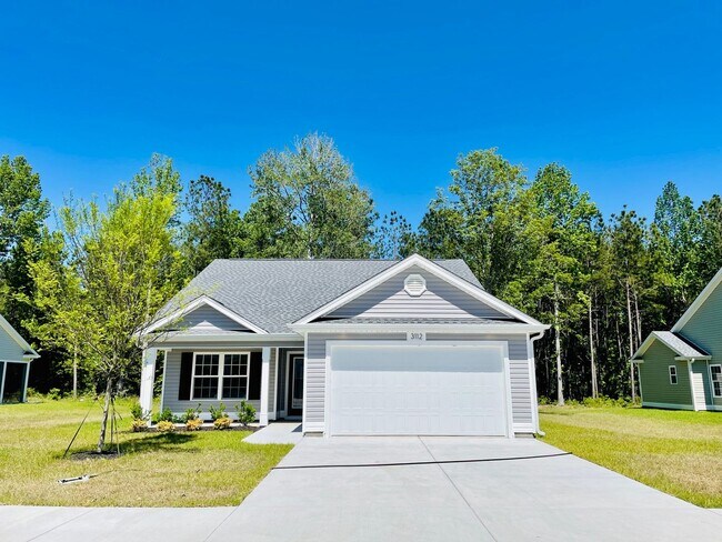Building Photo - 1 year New 3bd / 2ba w/ high end finishes, right in the heart of Conway!!