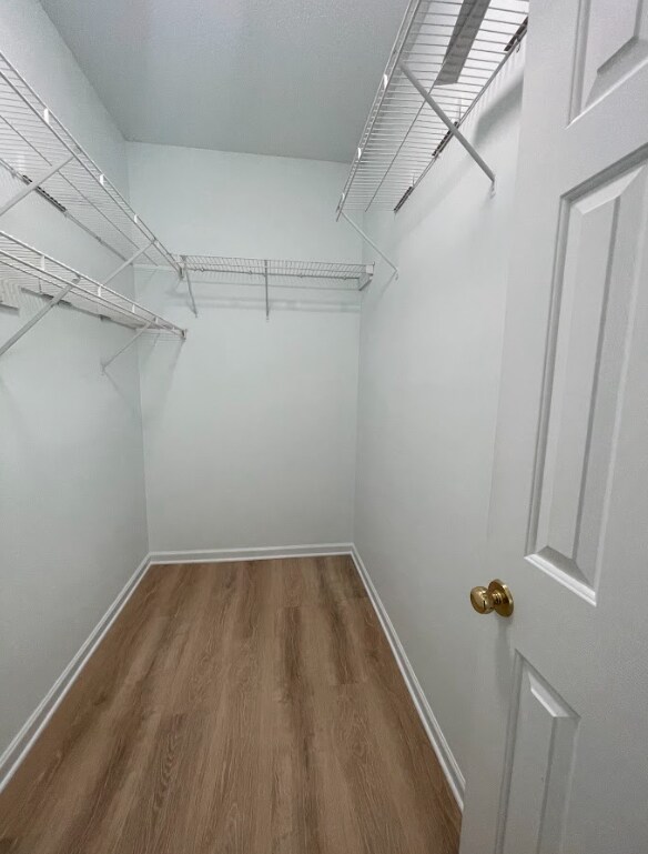 Building Photo - "Charming 3 Bed, 2 Bath Mauldin Home - Perfect for Your Family!"