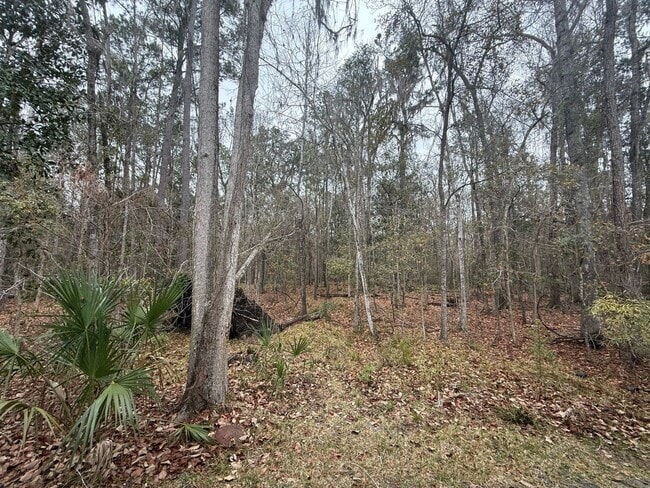 Building Photo - 3 Bedroom Backing up to San Felasco Hammock