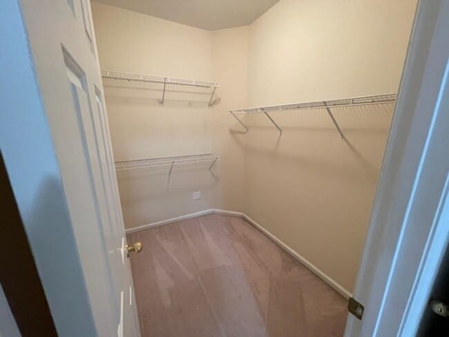 Building Photo - Beautiful Ranch home in Masterson Station ...